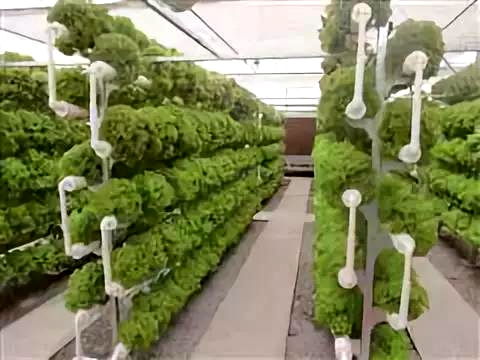 彩虹故鄉，又踏層峰望眼開 互助縣經濟社會發展紀實中的農業種植技術開發