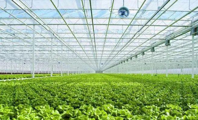 發展設施農業，推動農業技術革新