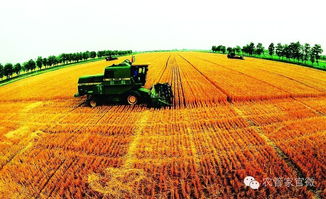 國家現代農業示范區 農民與種植技術開發的共贏新篇章