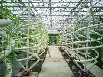 科技賦能現代農業 探析農業種植技術的創新與發展