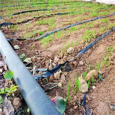 滴灌帶技術與農業種植革新——以聊城潤源微噴帶廠為例